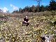 VALENCE randonn&eacute;e des jonquilles plaisir et sportive 